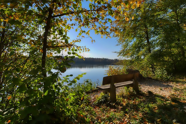 球队核心球 球队核心球