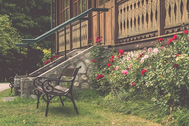 光筆直接照 光筆直接照