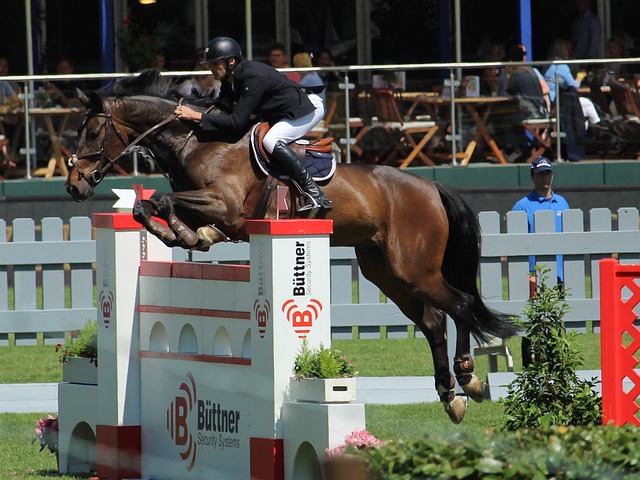 关键词融入 关键词融入